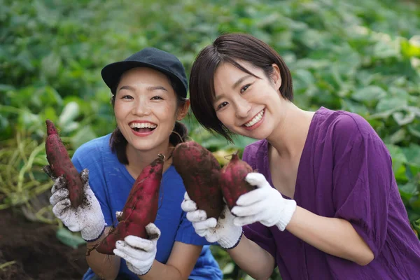 Glada Japanska Kvinnor Som Visar Stor Röd Potatis Trädgården — Stockfoto