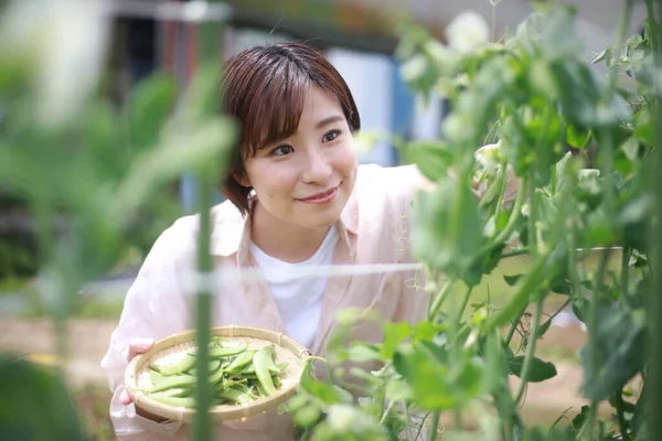 Ung Asiatisk Kvinna Som Arbetar Växthus — Stockfoto