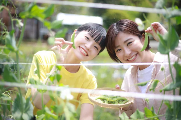 Πορτρέτο Δύο Κοριτσιών Από Την Ασία Που Διασκεδάζουν Στο Καλοκαιρινό — Φωτογραφία Αρχείου