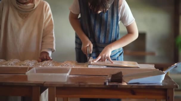 资深亚洲女人教年轻女人做荞麦面 — 图库视频影像
