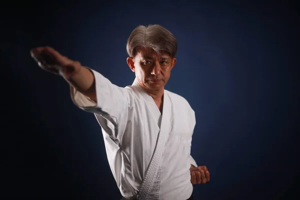 Karate Yapan Bir Adamın Resmi — Stok fotoğraf