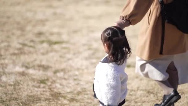 Orang Tua Dan Anak Anak Berjalan Bergandengan Tangan — Stok Video