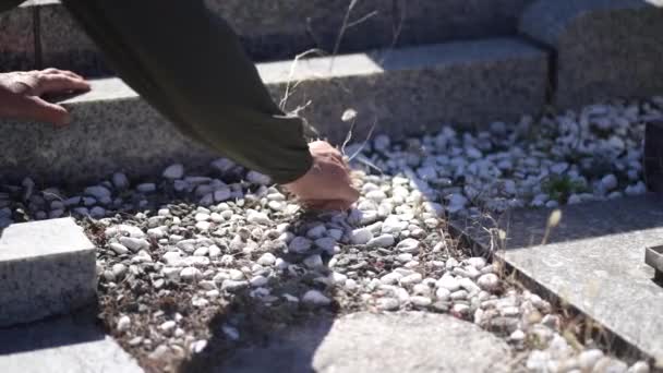 Material Primer Plano Mujer Recogiendo Plantas Alrededor Tumba Cementerio Japonés — Vídeos de Stock