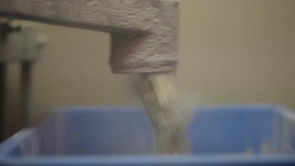 Automatic Sieving Machine Buckwheat Flour — Vídeo de Stock