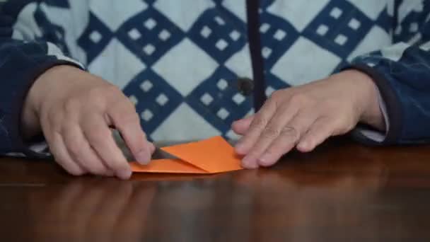 Una Donna Che Piega Una Gru Con Origami — Video Stock