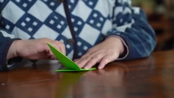 Turnayı Origamiyle Katlayan Bir Kadın — Stok video