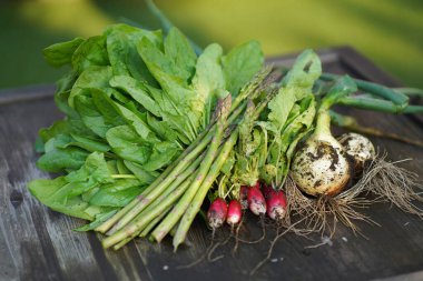 Toplanan sebzelerin resmi