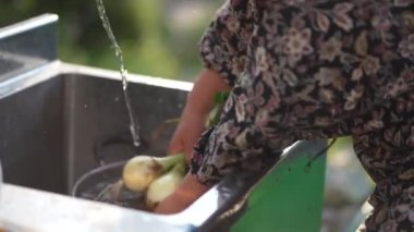 Hasat edilmiş soğanları yıkayan bir kadın.