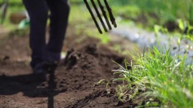 Tarlayı süren bir adam