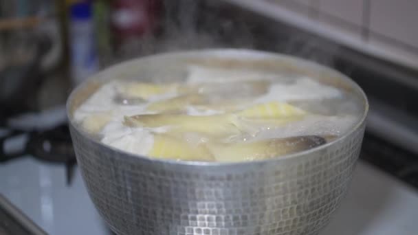 Image Boiling Bamboo Shoots — Stock Video