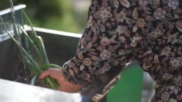 Hasat Edilmiş Soğanları Yıkayan Bir Kadın — Stok video