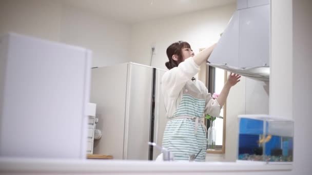 Vrouw Die Ventilator Schoonmaakt — Stockvideo