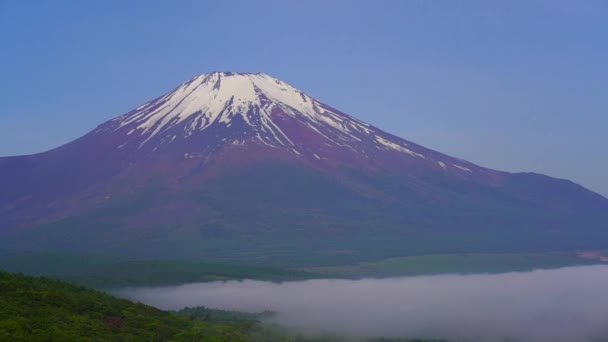 Fuji Moře Mraků — Stock video
