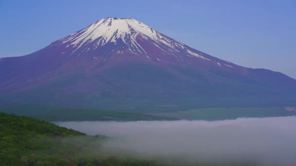 Fuji Sea Clouds — Stok Video