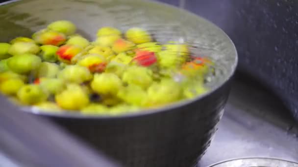 Soaking Plums Water — Stock Video