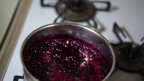 Making Handmade Blueberry Jam — Video Stock