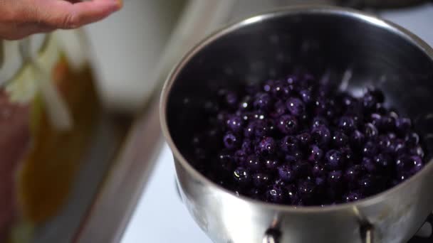 Woman Making Blueberry Jam — Stockvideo