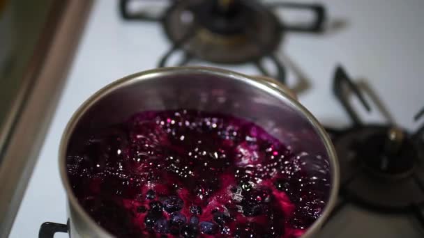 Making Handmade Blueberry Jam — Video Stock
