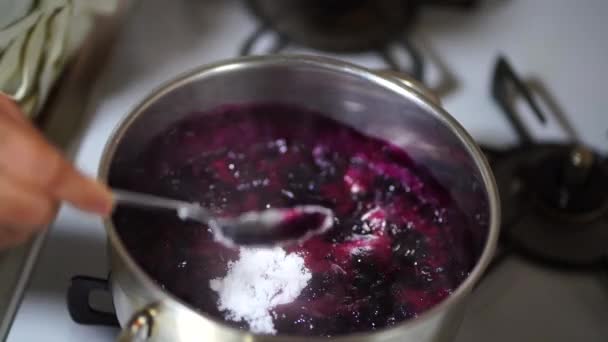 Woman Making Blueberry Jam — стоковое видео