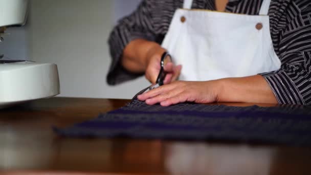 Woman Cutting Cloth — Vídeos de Stock