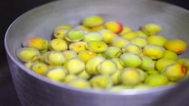 Soaking Plums Water — Stock Video