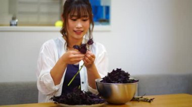 Woman picking red perilla leaves