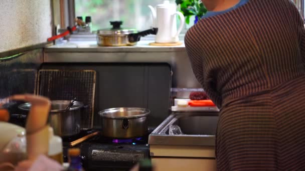 Imagem Uma Mulher Lavando Pratos — Vídeo de Stock