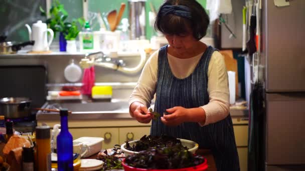 Woman Picking Red Perilla Leaves — Video Stock