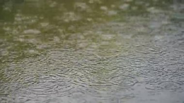 Image of rain falling