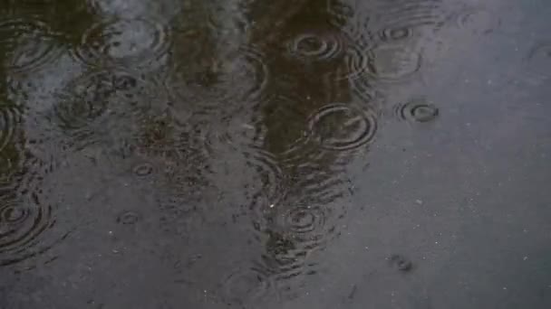 Image Rain Falling — Vídeo de Stock