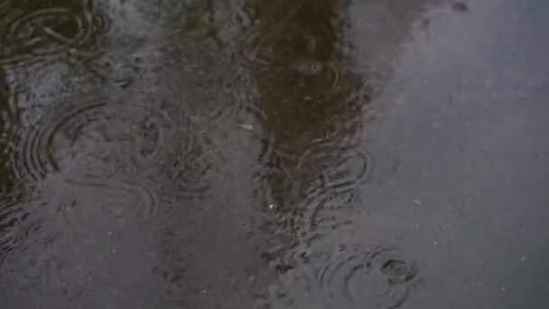 Image Rain Falling — Stok video