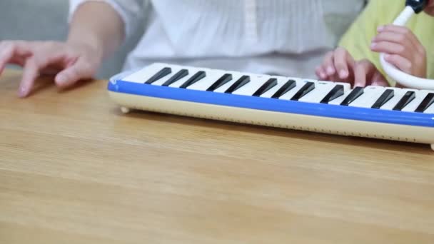 Orangtua Dan Anak Anak Berlatih Harmonika Keyboard — Stok Video