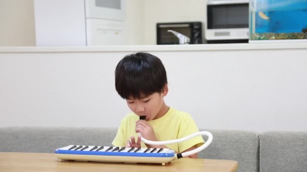 Garçon Pratiquant Harmonica Clavier — Video