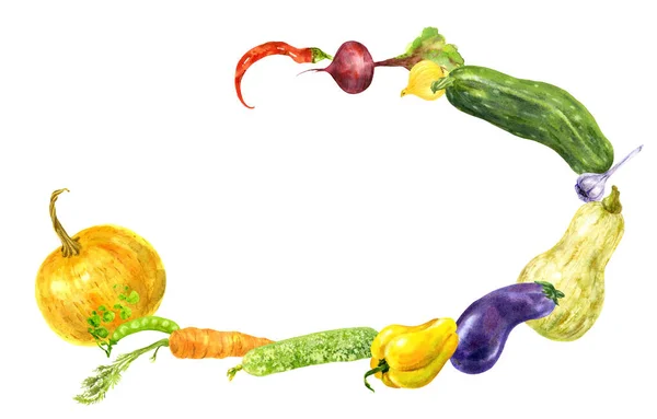 Cadre de légumes de jardin colorés. Illustration aquarelle dessinée à la main — Photo