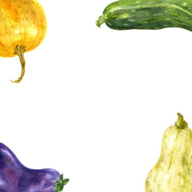 Renkli bahçe sebze çerçevesi. El çizimi suluboya çizimi