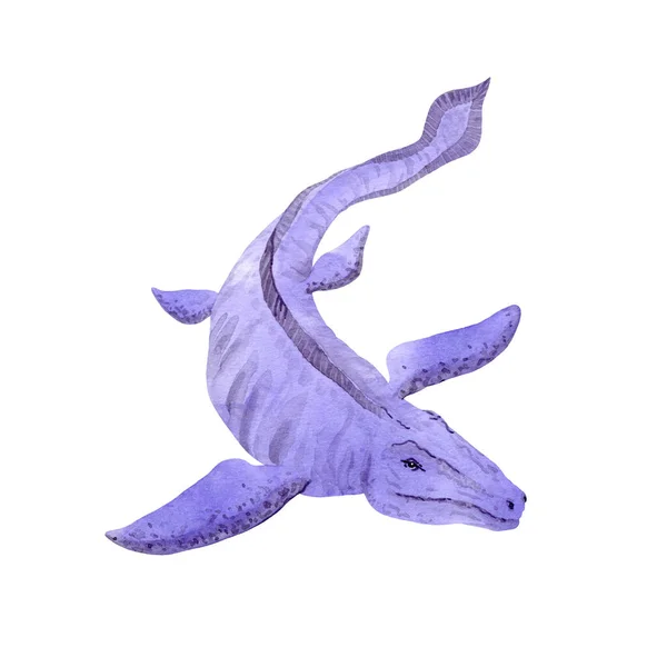 Mosasaurus 'lar beyazı izole etti. Mor renkli su dinozoru avcısı. Suluboya çizimi. Tasarım, çocuk şeyleri.