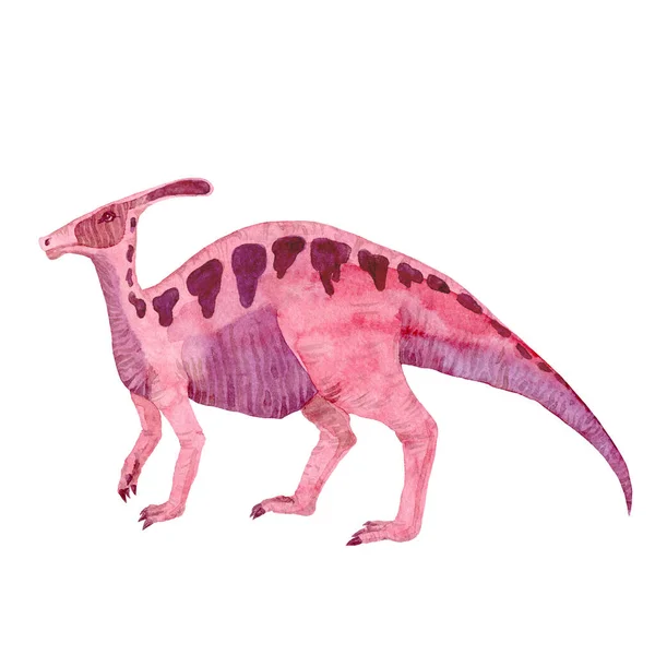 Parassaurolophus aquarela isolado em branco. Ilustração desenhada à mão. Para design, coisas de crianças — Fotografia de Stock
