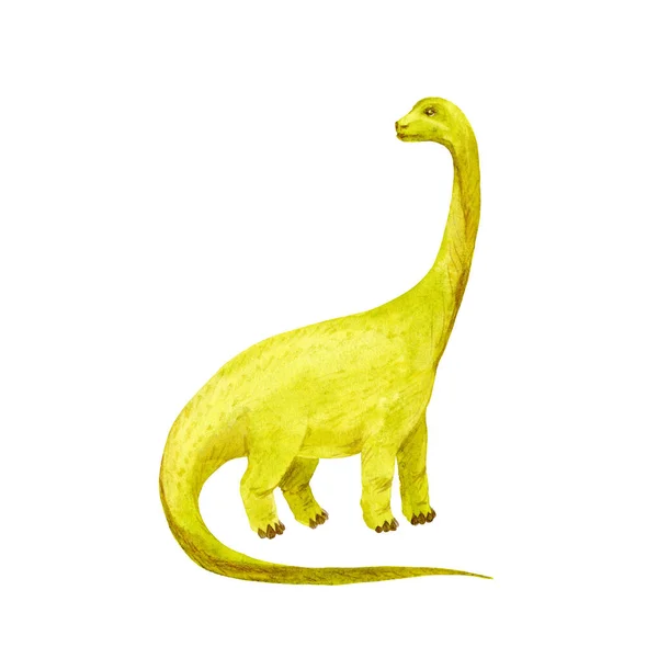 Брахиозавр изолирован на белом. Зеленый динозавр. Акварель. — стоковое фото