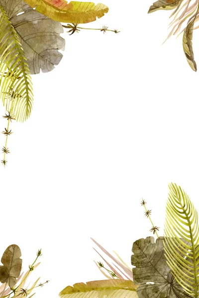 Vinheta de vegetação tropical. Samambaias aquarela, folhas de palmeira, equisetums, monstera. Quadro, convite — Fotografia de Stock