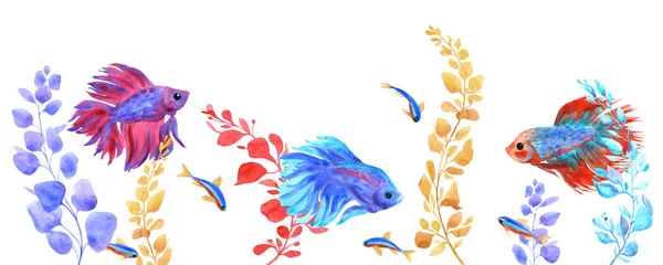 Боевое рыбное знамя. Бетта великолепен, неоновые, водяные растения. Акварель — стоковое фото
