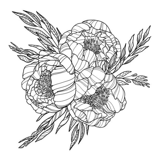 Zarys kwiatów. Bukiet piwonii. Czarno-biały Ilustracja — Zdjęcie stockowe