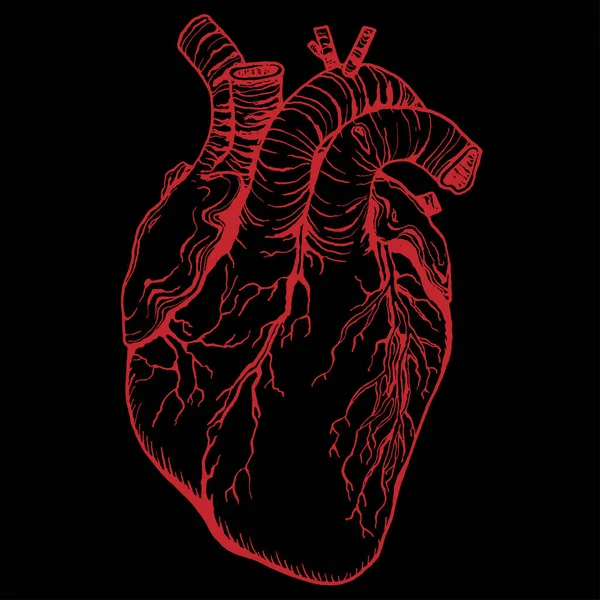 Profilo del cuore. Illustrazione vettoriale. Cuore rosso su nero. — Vettoriale Stock