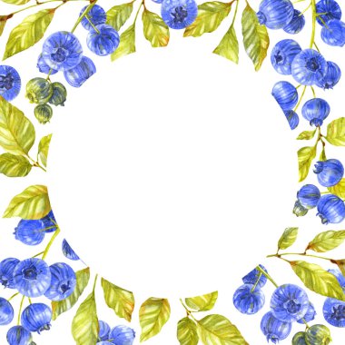 Yabanmersini kartı. Beyaz arka planda böğürtlen ve yapraklar. Suluboya çizimi