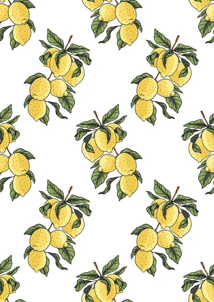 Limon deseni. Beyaz arkaplanda meyve dalları