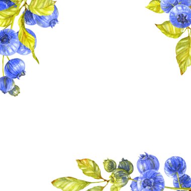 Yabanmersini tebrik kartı. Böğürtlen ve yapraklar Suluboya çizimi