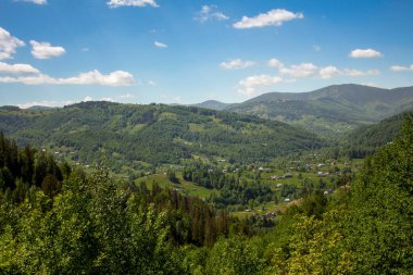 Bright morning in the Carpathians