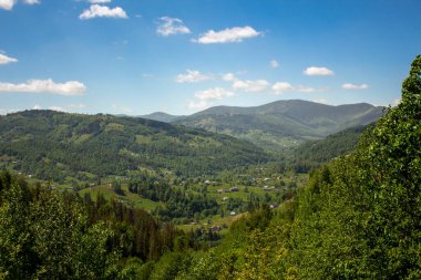 Bright morning in the Carpathians