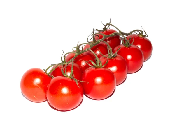 Cherry Tomatoes White Background — Stock Photo, Image