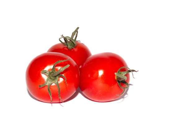 Tomates Cerises Sur Fond Blanc — Photo