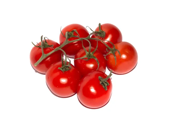 Tomates Cerises Sur Fond Blanc — Photo